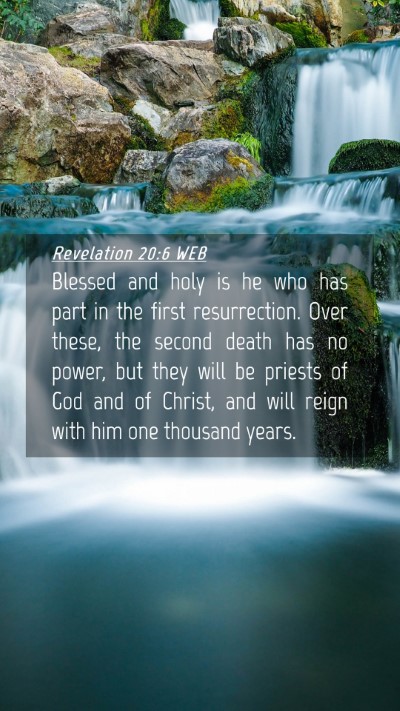 Picture 04 - Revelation 20:6 WEB Mobile Phone Wallpaper - Blessed and holy is he who has part in the first - Mobile Bible Verse Wallpaper