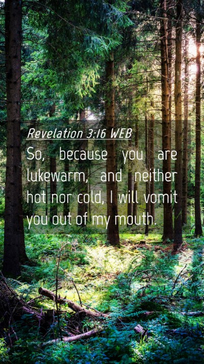 Picture 04 - Revelation 3:16 WEB Mobile Phone Wallpaper - So, because you are lukewarm, and neither hot nor - Mobile Bible Verse Wallpaper