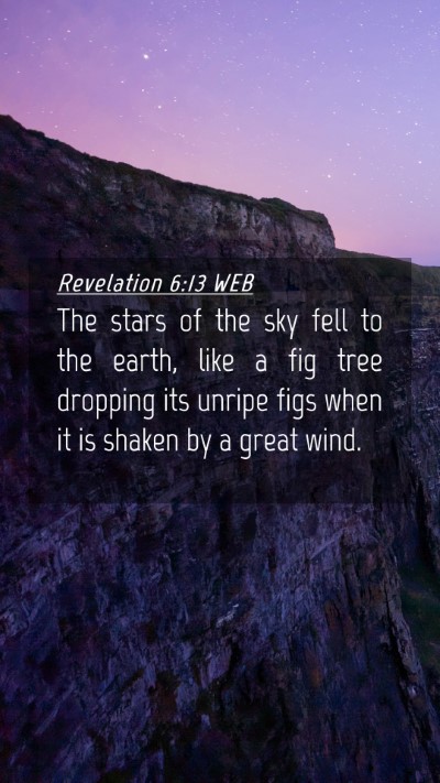 Picture 04 - Revelation 6:13 WEB Mobile Phone Wallpaper - The stars of the sky fell to the earth, like a - Mobile Bible Verse Wallpaper