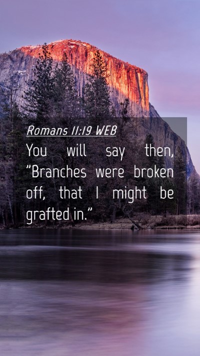 Picture 04 - Romans 11:19 WEB Mobile Phone Wallpaper - You will say then, 
