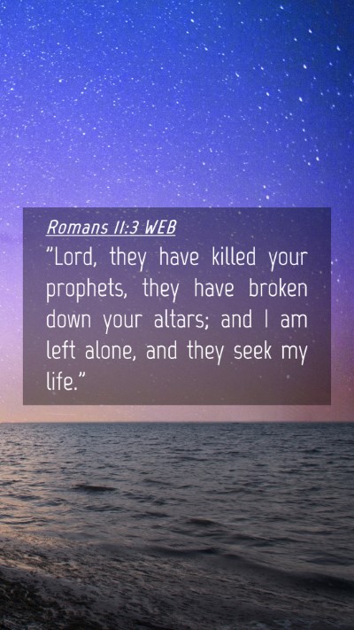 Picture 04 - Romans 11:3 WEB Mobile Phone Wallpaper - 