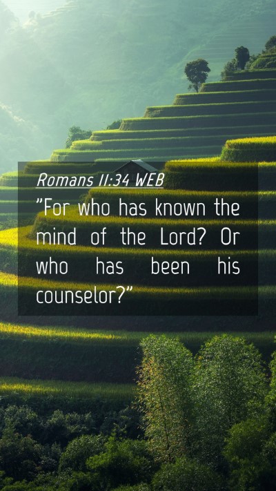 Picture 04 - Romans 11:34 WEB Mobile Phone Wallpaper - 