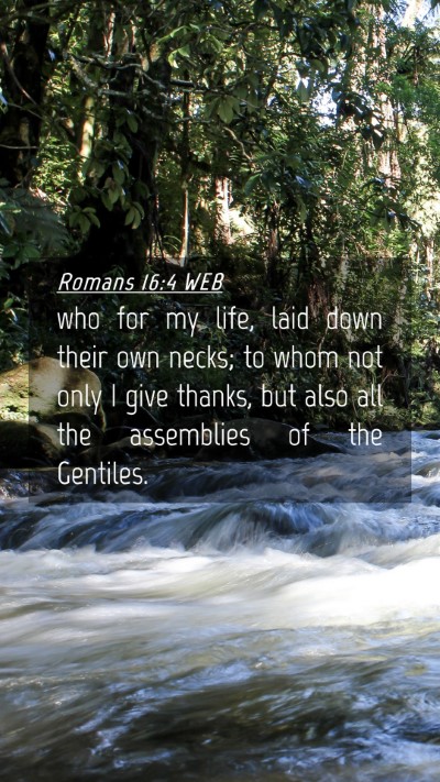 Picture 04 - Romans 16:4 WEB Mobile Phone Wallpaper - who for my life, laid down their own necks; to - Mobile Bible Verse Wallpaper