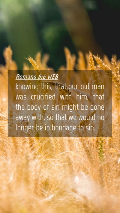 Picture 04 - Romans 6:6 WEB Mobile Phone Wallpaper - knowing this, that our old man was crucified with - Mobile Bible Verse Wallpaper