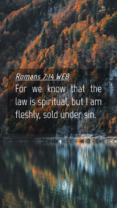 Picture 04 - Romans 7:14 WEB Mobile Phone Wallpaper - For we know that the law is spiritual, but I am - Mobile Bible Verse Wallpaper
