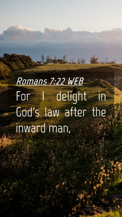 Picture 04 - Romans 7:22 WEB Mobile Phone Wallpaper - For I delight in God's law after the inward - Mobile Bible Verse Wallpaper