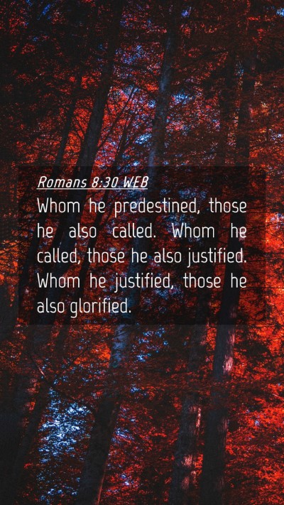 Picture 04 - Romans 8:30 WEB Mobile Phone Wallpaper - Whom he predestined, those he also called. Whom - Mobile Bible Verse Wallpaper