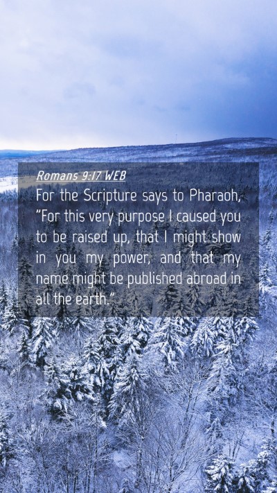 Picture 04 - Romans 9:17 WEB Mobile Phone Wallpaper - For the Scripture says to Pharaoh, 