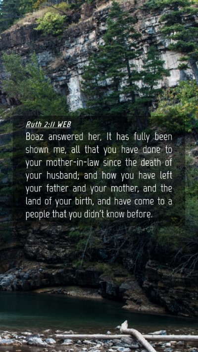 Picture 04 - Ruth 2:11 WEB Mobile Phone Wallpaper - Boaz answered her, It has fully been shown me, - Mobile Bible Verse Wallpaper