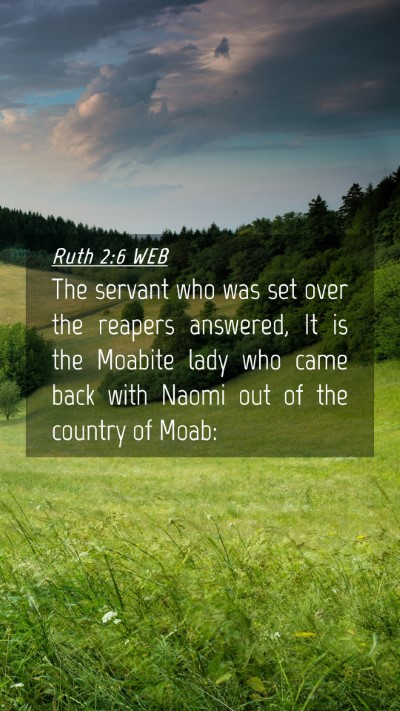 Picture 04 - Ruth 2:6 WEB Mobile Phone Wallpaper - The servant who was set over the reapers - Mobile Bible Verse Wallpaper