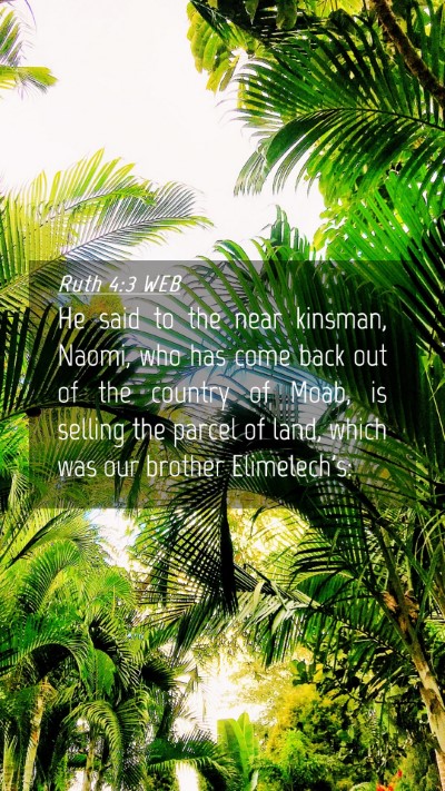 Picture 04 - Ruth 4:3 WEB Mobile Phone Wallpaper - He said to the near kinsman, Naomi, who has come - Mobile Bible Verse Wallpaper