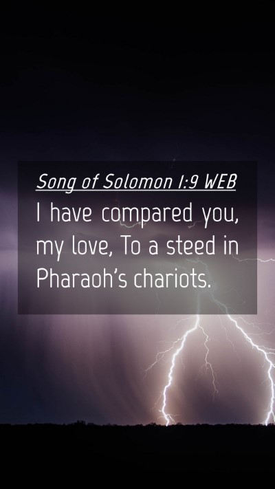Picture 04 - Song of Solomon 1:9 WEB Mobile Phone Wallpaper - I have compared you, my love, To a steed in - Mobile Bible Verse Wallpaper