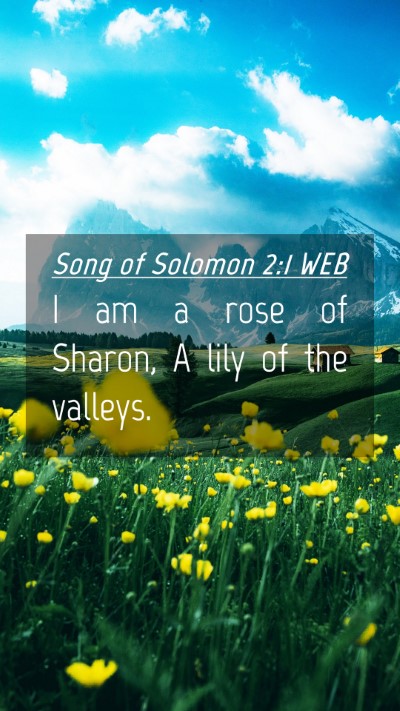 Picture 04 - Song of Solomon 2:1 WEB Mobile Phone Wallpaper - I am a rose of Sharon, A lily of the - Mobile Bible Verse Wallpaper
