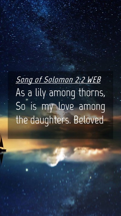 Picture 04 - Song of Solomon 2:2 WEB Mobile Phone Wallpaper - As a lily among thorns, So is my love among the - Mobile Bible Verse Wallpaper