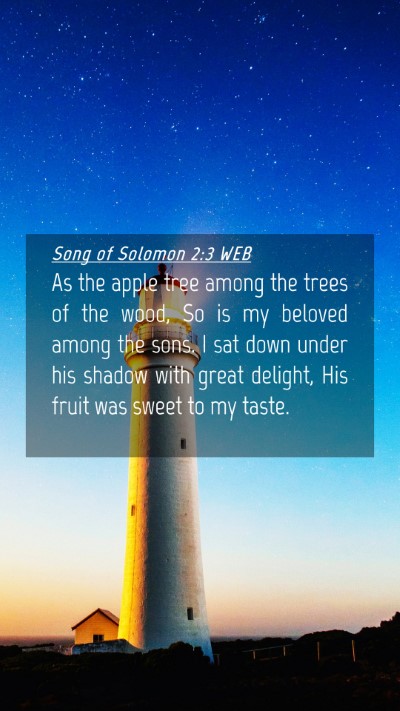 Picture 04 - Song of Solomon 2:3 WEB Mobile Phone Wallpaper - As the apple tree among the trees of the wood, So - Mobile Bible Verse Wallpaper