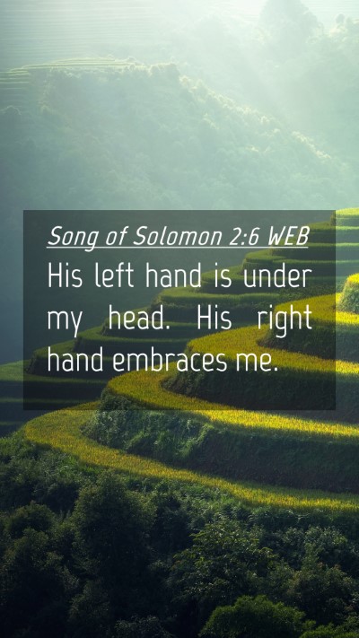 Picture 04 - Song of Solomon 2:6 WEB Mobile Phone Wallpaper - His left hand is under my head. His right hand - Mobile Bible Verse Wallpaper
