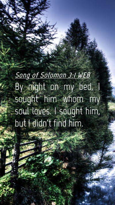 Picture 04 - Song of Solomon 3:1 WEB Mobile Phone Wallpaper - By night on my bed, I sought him whom my soul - Mobile Bible Verse Wallpaper