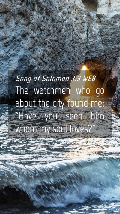Picture 04 - Song of Solomon 3:3 WEB Mobile Phone Wallpaper - The watchmen who go about the city found me; - Mobile Bible Verse Wallpaper