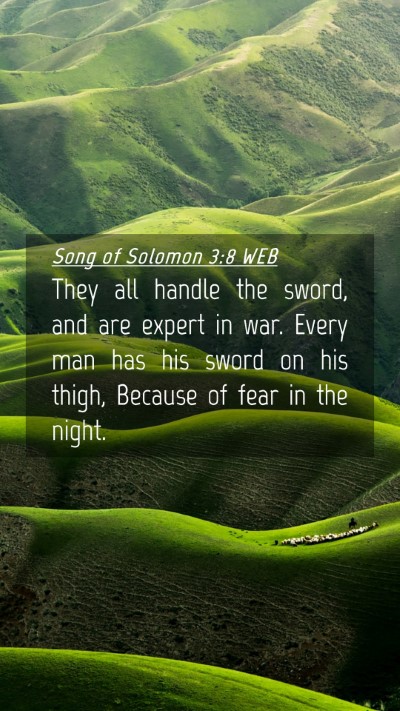 Picture 04 - Song of Solomon 3:8 WEB Mobile Phone Wallpaper - They all handle the sword, and are expert in war. - Mobile Bible Verse Wallpaper