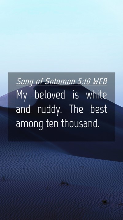 Picture 04 - Song of Solomon 5:10 WEB Mobile Phone Wallpaper - My beloved is white and ruddy. The best among ten - Mobile Bible Verse Wallpaper
