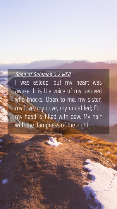 Picture 04 - Song of Solomon 5:2 WEB Mobile Phone Wallpaper - I was asleep, but my heart was awake. It is the - Mobile Bible Verse Wallpaper