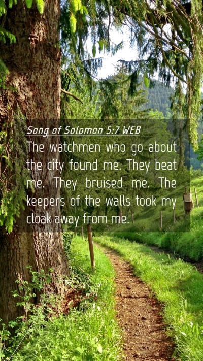 Picture 04 - Song of Solomon 5:7 WEB Mobile Phone Wallpaper - The watchmen who go about the city found me. They - Mobile Bible Verse Wallpaper