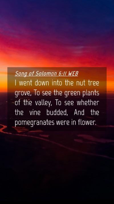Picture 04 - Song of Solomon 6:11 WEB Mobile Phone Wallpaper - I went down into the nut tree grove, To see the - Mobile Bible Verse Wallpaper