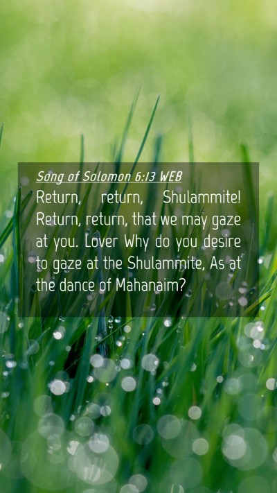 Picture 04 - Song of Solomon 6:13 WEB Mobile Phone Wallpaper - Return, return, Shulammite! Return, return, that - Mobile Bible Verse Wallpaper
