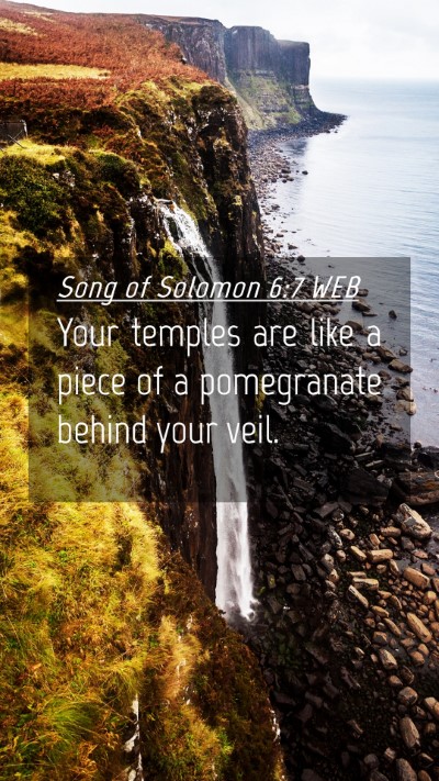 Picture 04 - Song of Solomon 6:7 WEB Mobile Phone Wallpaper - Your temples are like a piece of a pomegranate - Mobile Bible Verse Wallpaper
