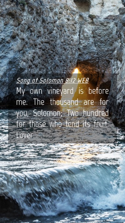 Picture 04 - Song of Solomon 8:12 WEB Mobile Phone Wallpaper - My own vineyard is before me. The thousand are - Mobile Bible Verse Wallpaper