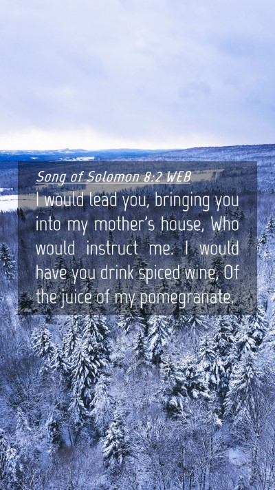 Picture 04 - Song of Solomon 8:2 WEB Mobile Phone Wallpaper - I would lead you, bringing you into my mother's - Mobile Bible Verse Wallpaper