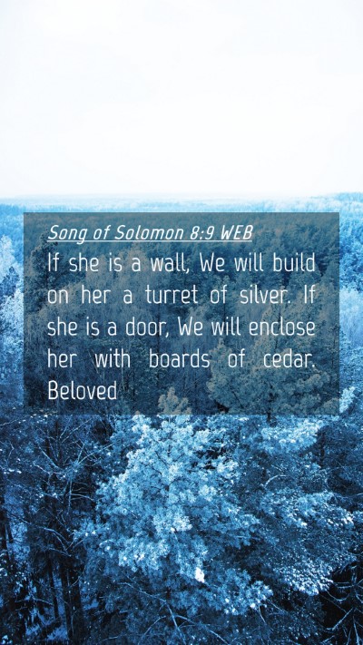 Picture 04 - Song of Solomon 8:9 WEB Mobile Phone Wallpaper - If she is a wall, We will build on her a turret - Mobile Bible Verse Wallpaper