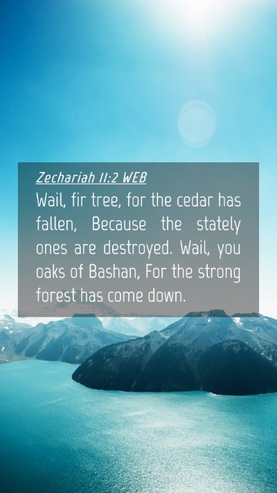Picture 04 - Zechariah 11:2 WEB Mobile Phone Wallpaper - Wail, fir tree, for the cedar has fallen, Because - Mobile Bible Verse Wallpaper
