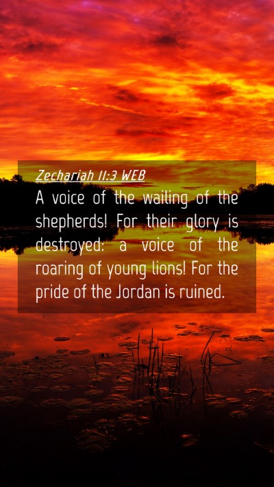 Picture 04 - Zechariah 11:3 WEB Mobile Phone Wallpaper - A voice of the wailing of the shepherds! For - Mobile Bible Verse Wallpaper