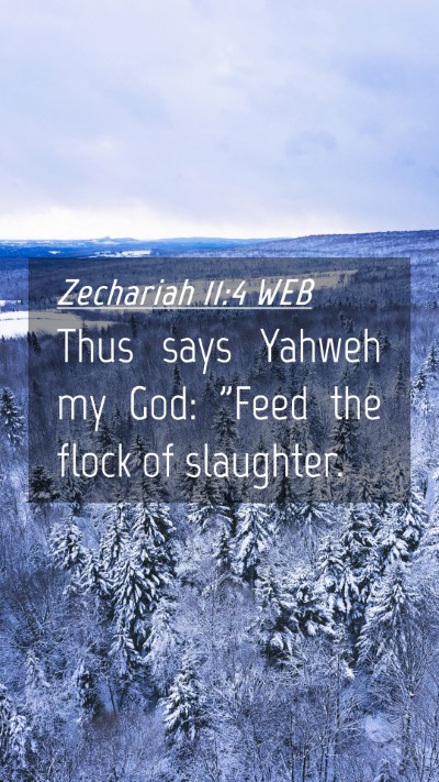 Picture 04 - Zechariah 11:4 WEB Mobile Phone Wallpaper - Thus says Yahweh my God: 