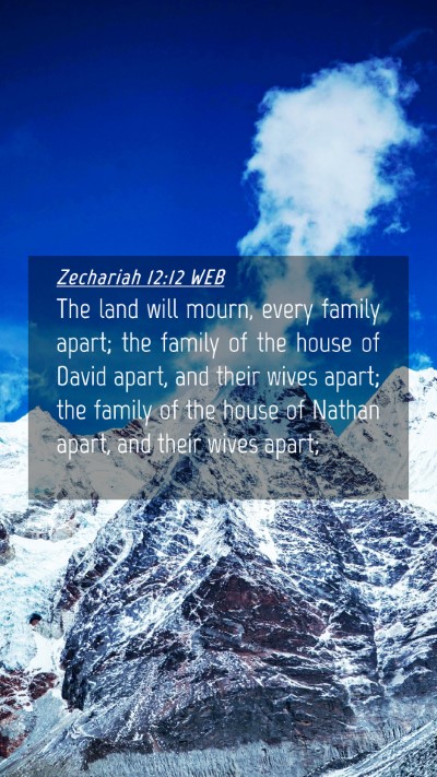 Picture 04 - Zechariah 12:12 WEB Mobile Phone Wallpaper - The land will mourn, every family apart; the - Mobile Bible Verse Wallpaper