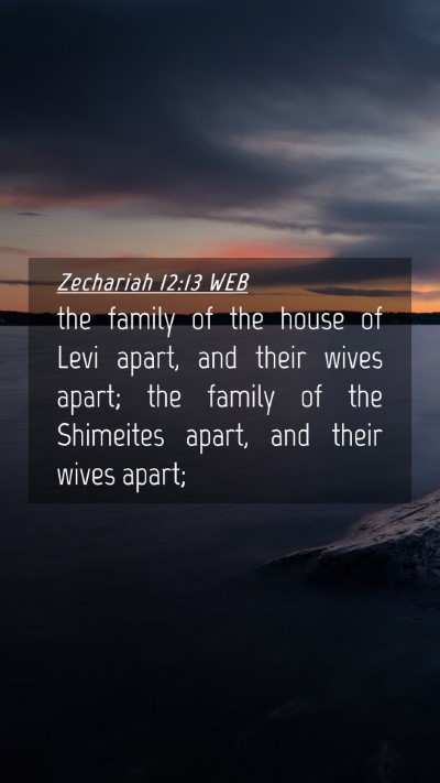 Picture 04 - Zechariah 12:13 WEB Mobile Phone Wallpaper - the family of the house of Levi apart, and their - Mobile Bible Verse Wallpaper