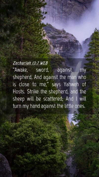 Picture 04 - Zechariah 13:7 WEB Mobile Phone Wallpaper - 