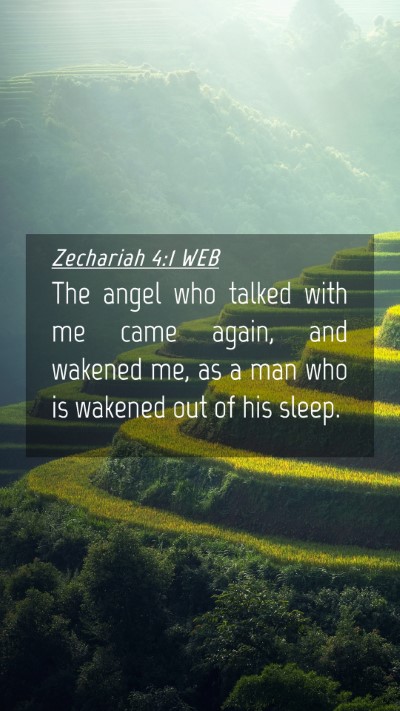 Picture 04 - Zechariah 4:1 WEB Mobile Phone Wallpaper - The angel who talked with me came again, and - Mobile Bible Verse Wallpaper