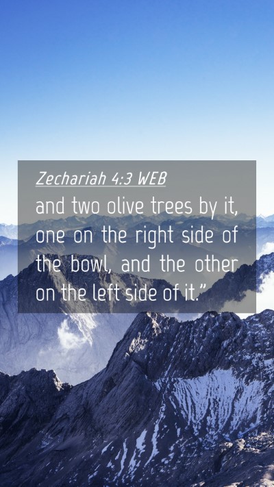 Picture 04 - Zechariah 4:3 WEB Mobile Phone Wallpaper - and two olive trees by it, one on the right side - Mobile Bible Verse Wallpaper