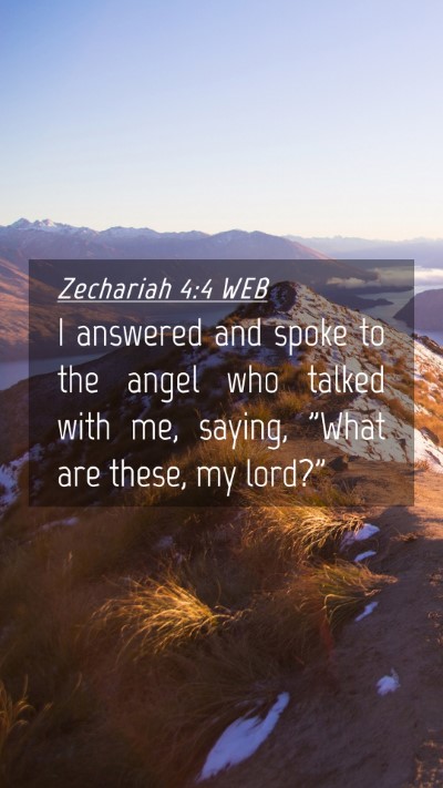Picture 04 - Zechariah 4:4 WEB Mobile Phone Wallpaper - I answered and spoke to the angel who talked with - Mobile Bible Verse Wallpaper