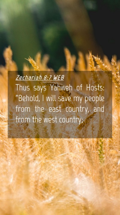 Picture 04 - Zechariah 8:7 WEB Mobile Phone Wallpaper - Thus says Yahweh of Hosts: 