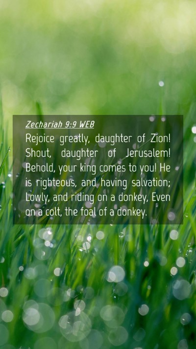 Picture 04 - Zechariah 9:9 WEB Mobile Phone Wallpaper - Rejoice greatly, daughter of Zion! Shout, - Mobile Bible Verse Wallpaper