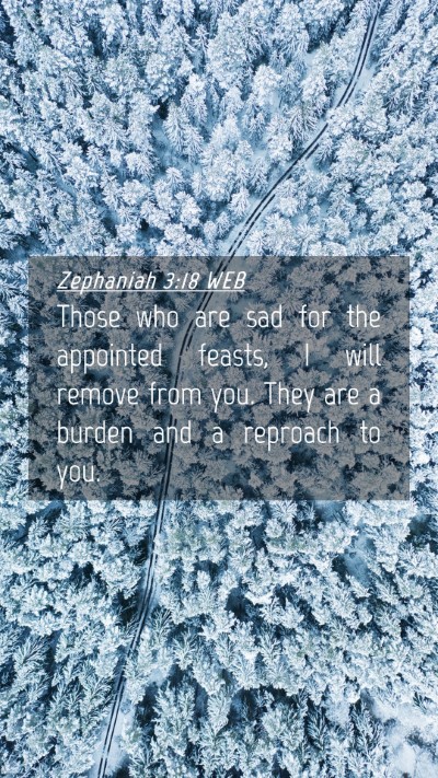 Picture 04 - Zephaniah 3:18 WEB Mobile Phone Wallpaper - Those who are sad for the appointed feasts, I - Mobile Bible Verse Wallpaper