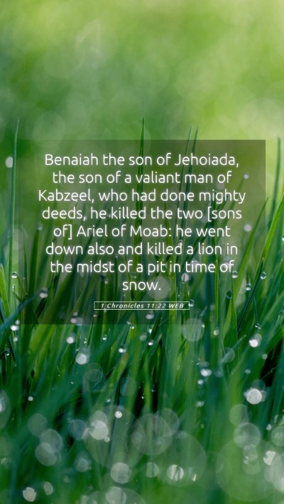 Picture 05 - 1 Chronicles 11:22 WEB Mobile Phone Wallpaper - Benaiah the son of Jehoiada, the son of a valiant - Mobile Bible Verse Wallpaper