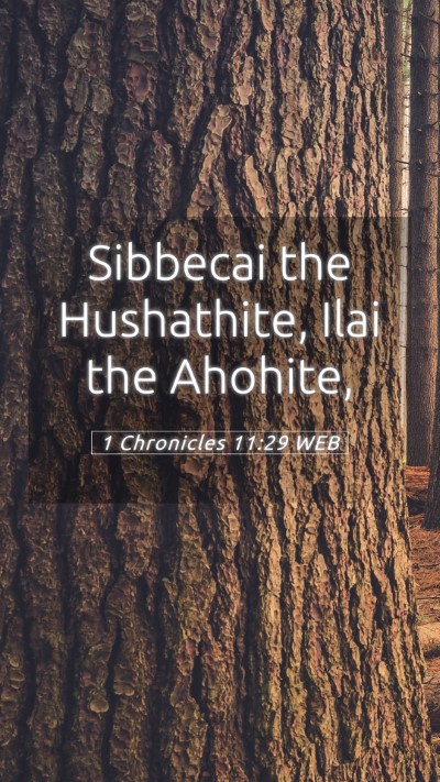 Picture 05 - 1 Chronicles 11:29 WEB Mobile Phone Wallpaper - Sibbecai the Hushathite, Ilai the - Mobile Bible Verse Wallpaper