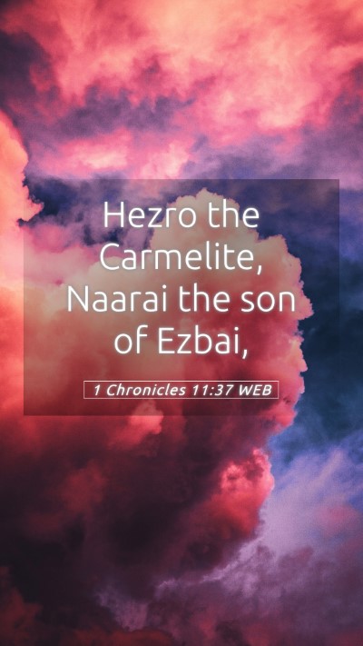 Picture 05 - 1 Chronicles 11:37 WEB Mobile Phone Wallpaper - Hezro the Carmelite, Naarai the son of - Mobile Bible Verse Wallpaper