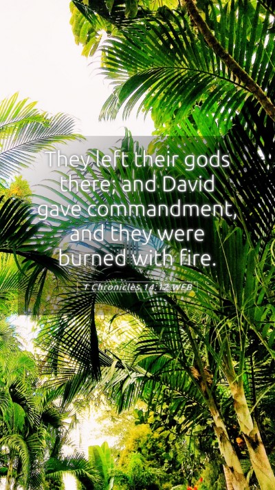 Picture 05 - 1 Chronicles 14:12 WEB Mobile Phone Wallpaper - They left their gods there; and David gave - Mobile Bible Verse Wallpaper