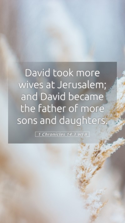 Picture 05 - 1 Chronicles 14:3 WEB Mobile Phone Wallpaper - David took more wives at Jerusalem; and David - Mobile Bible Verse Wallpaper