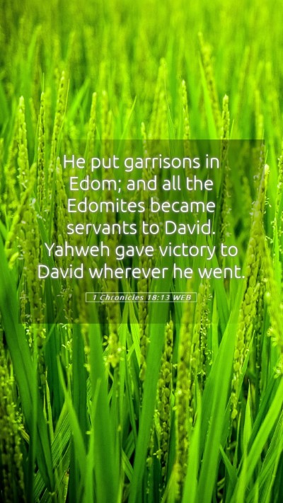 Picture 05 - 1 Chronicles 18:13 WEB Mobile Phone Wallpaper - He put garrisons in Edom; and all the Edomites - Mobile Bible Verse Wallpaper